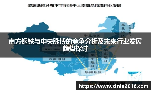 南方钢铁与中央脉博的竞争分析及未来行业发展趋势探讨